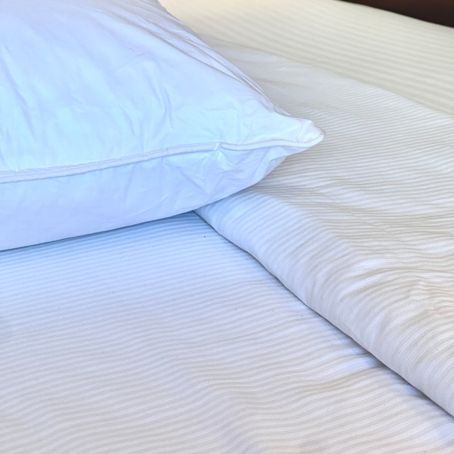 Polydown Pillow