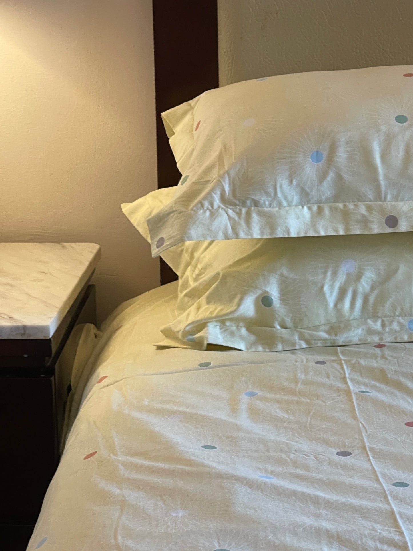 Printed Bed Sheet Set