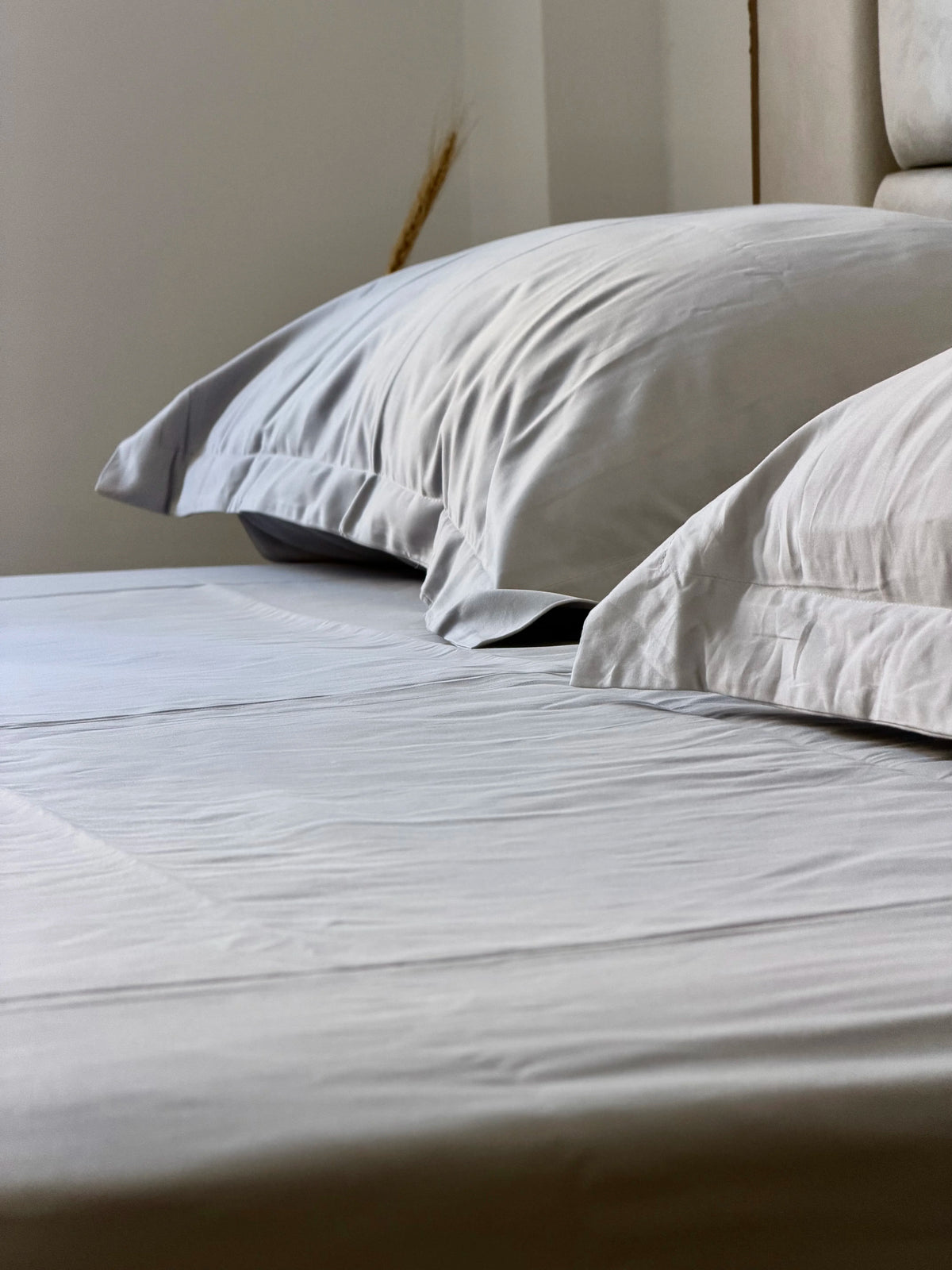 Printed Bed Sheet Set