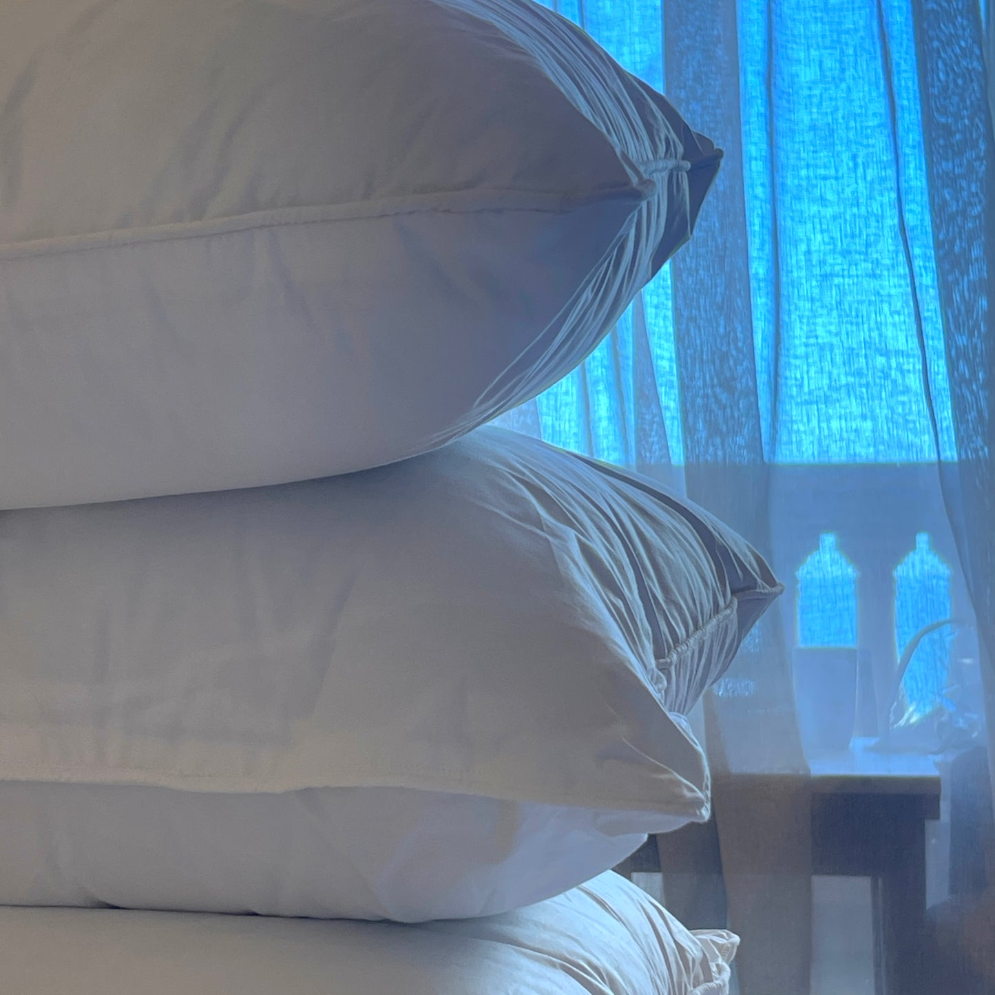Polydown Pillow