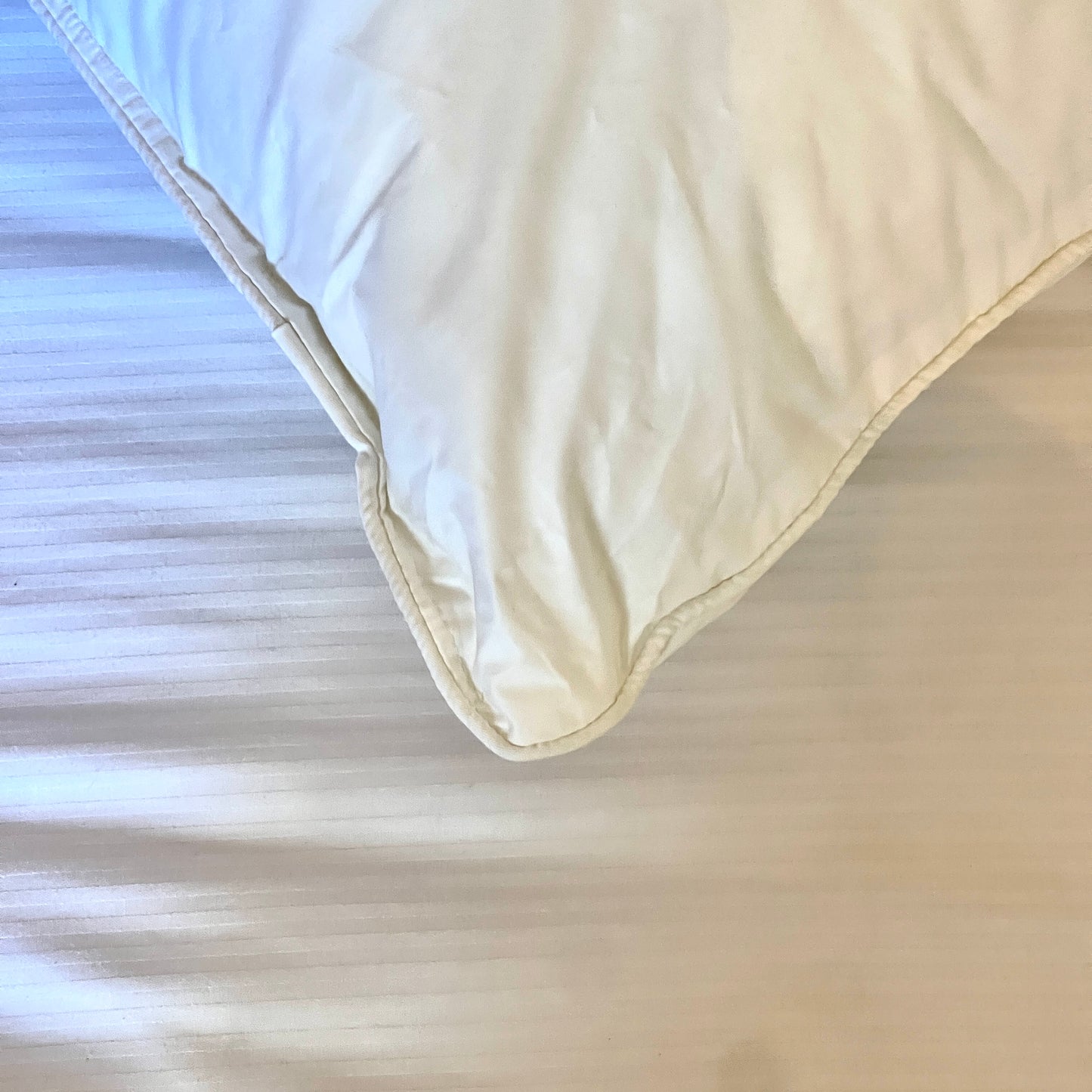 Polydown Pillow