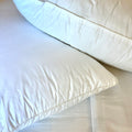 Polydown Pillow