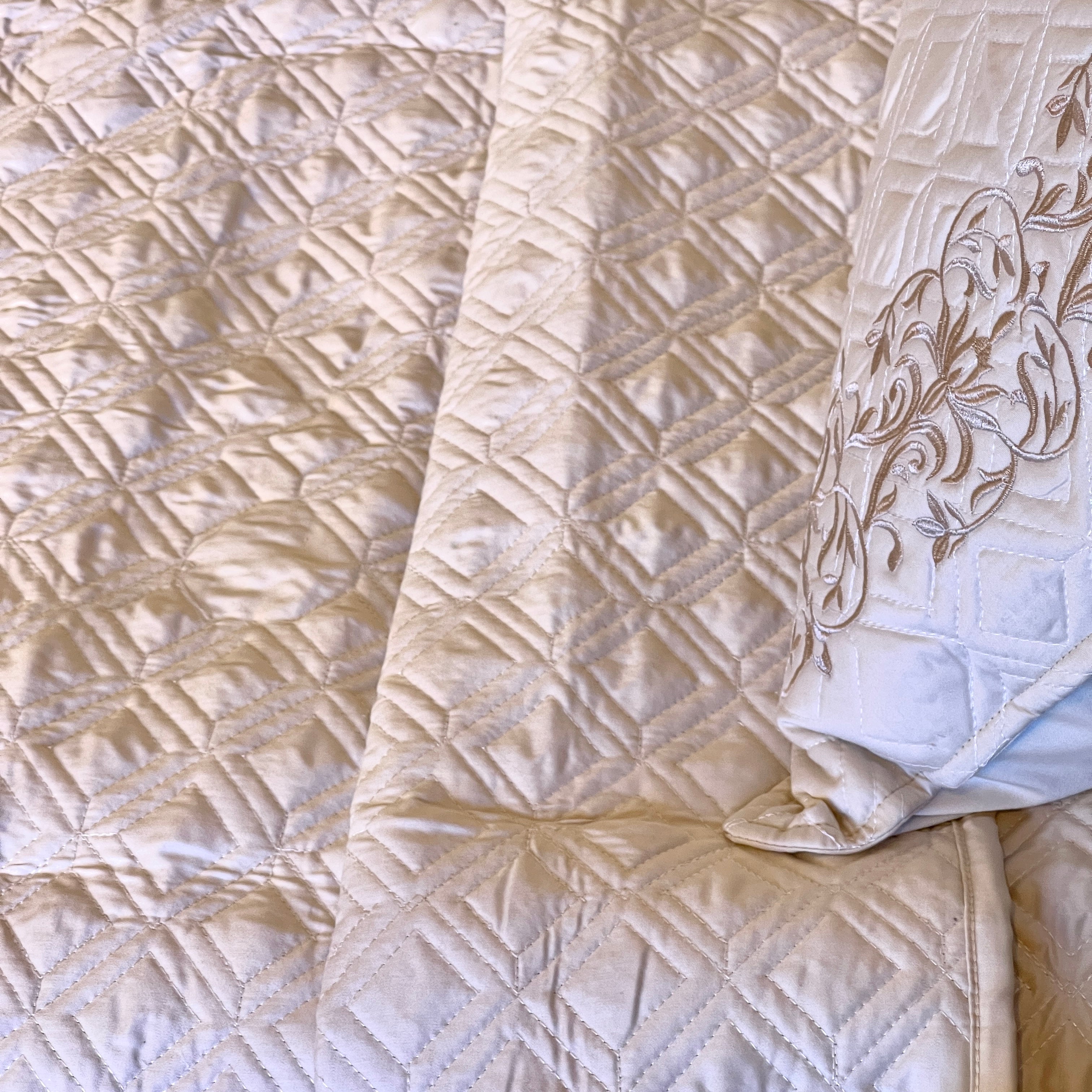 Embroidered Quilt Set