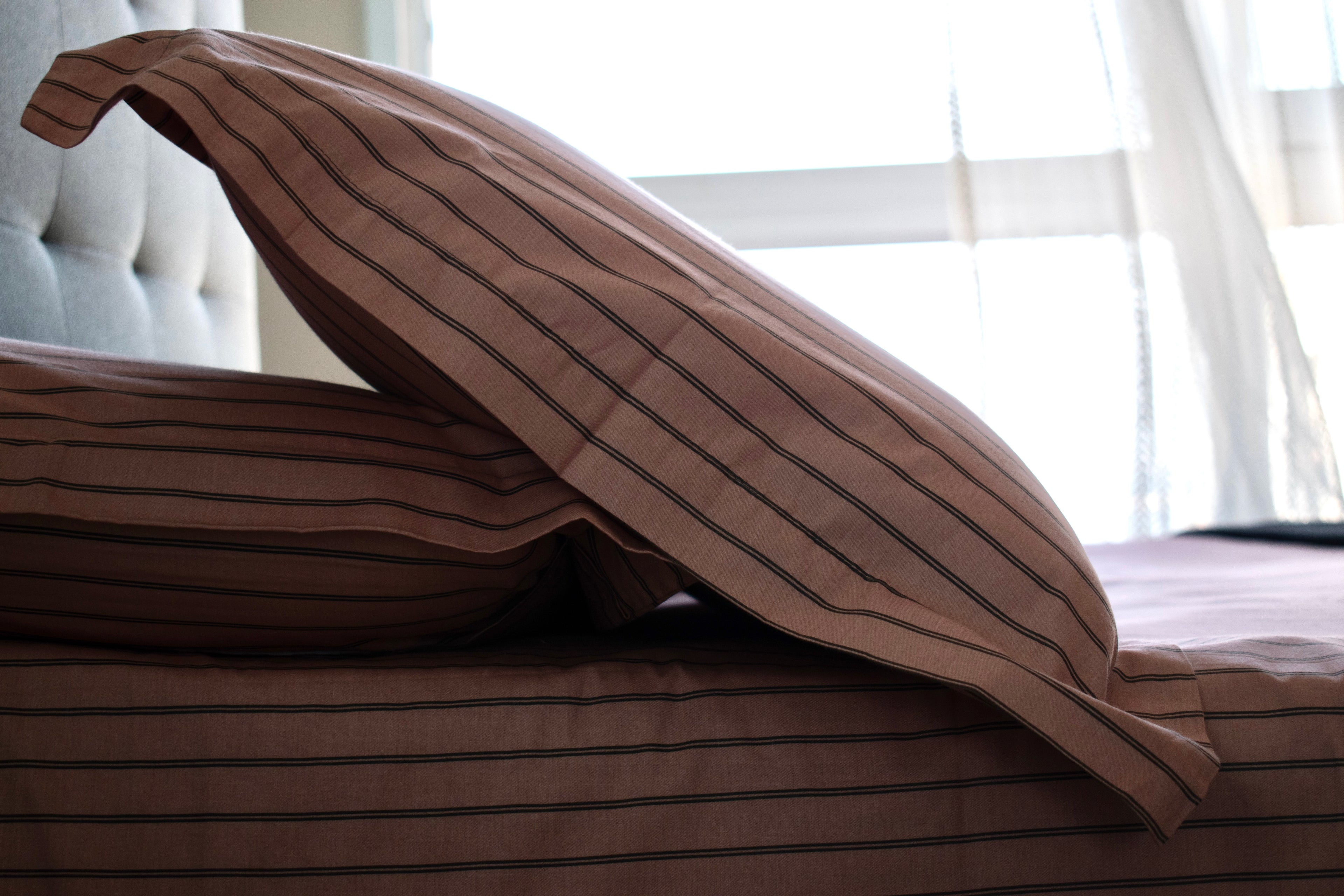 Printed Bed Sheet Set