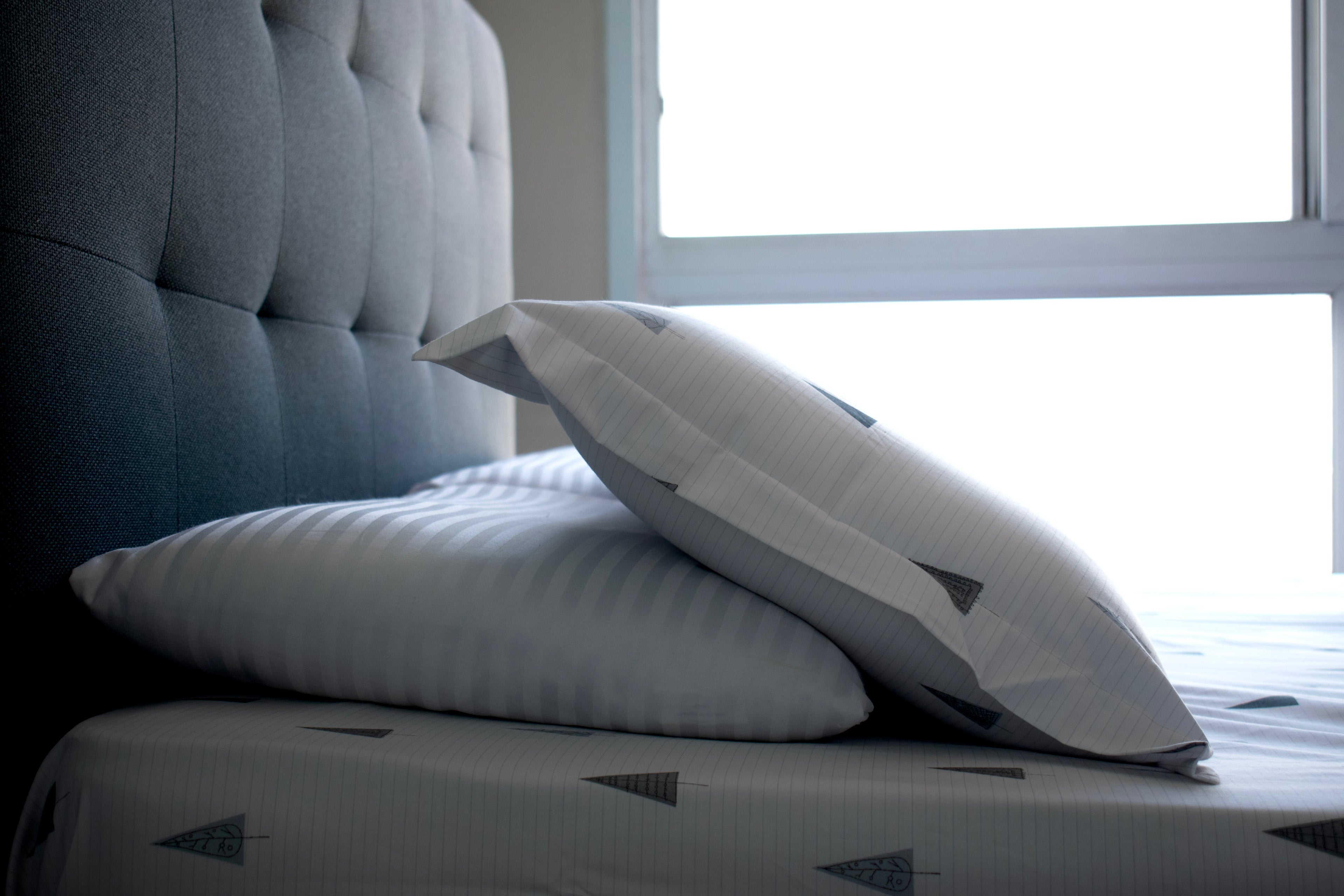 Printed Bed Sheet Set