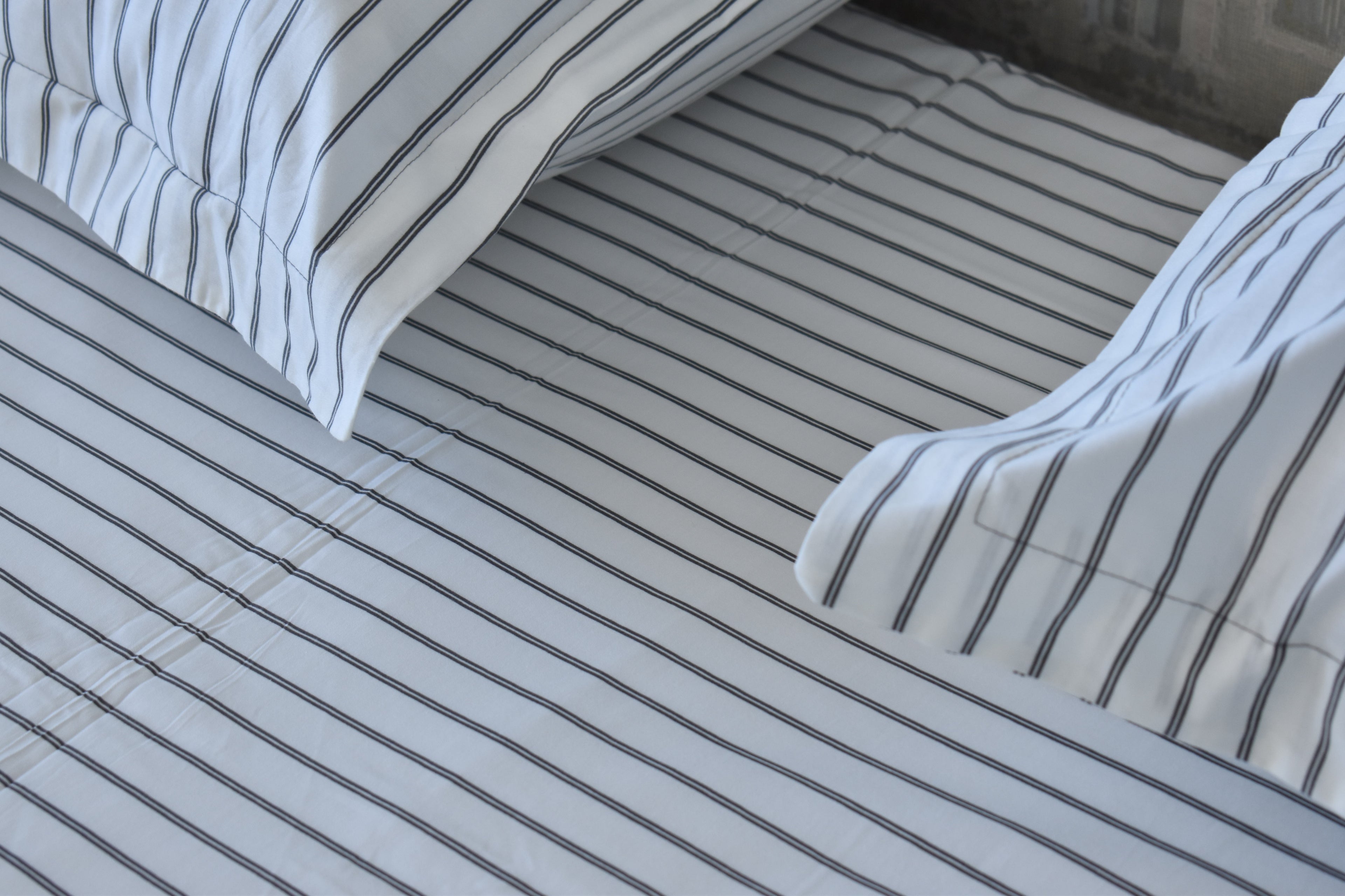Printed Bed Sheet Set