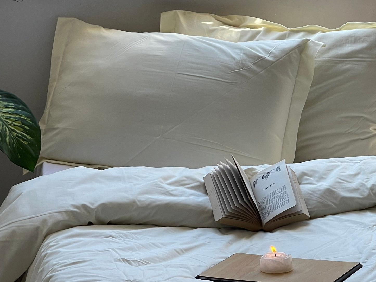 Percale Cornsilk Bed Sheet Set