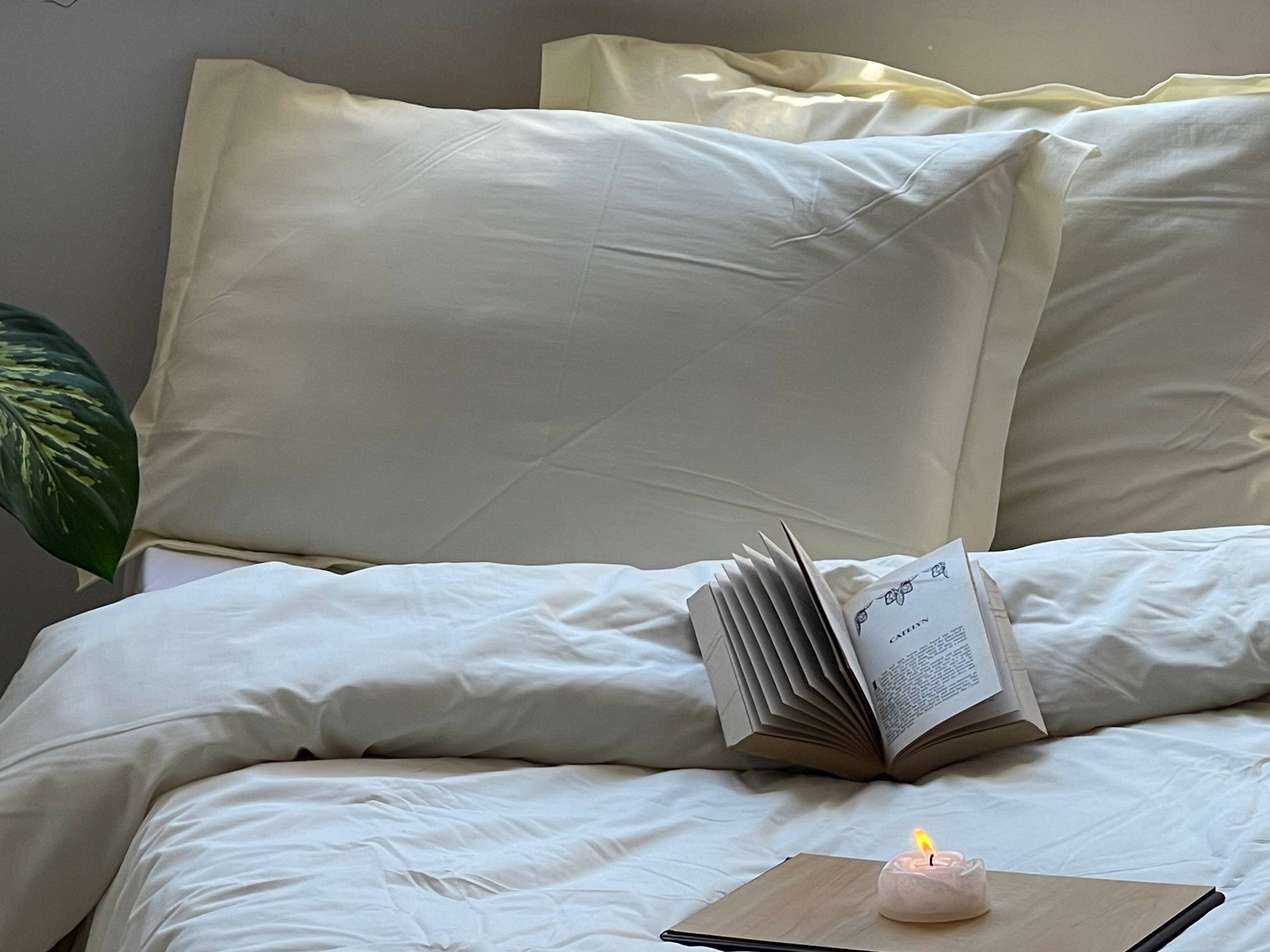 Percale Cornsilk Bed Sheet Set