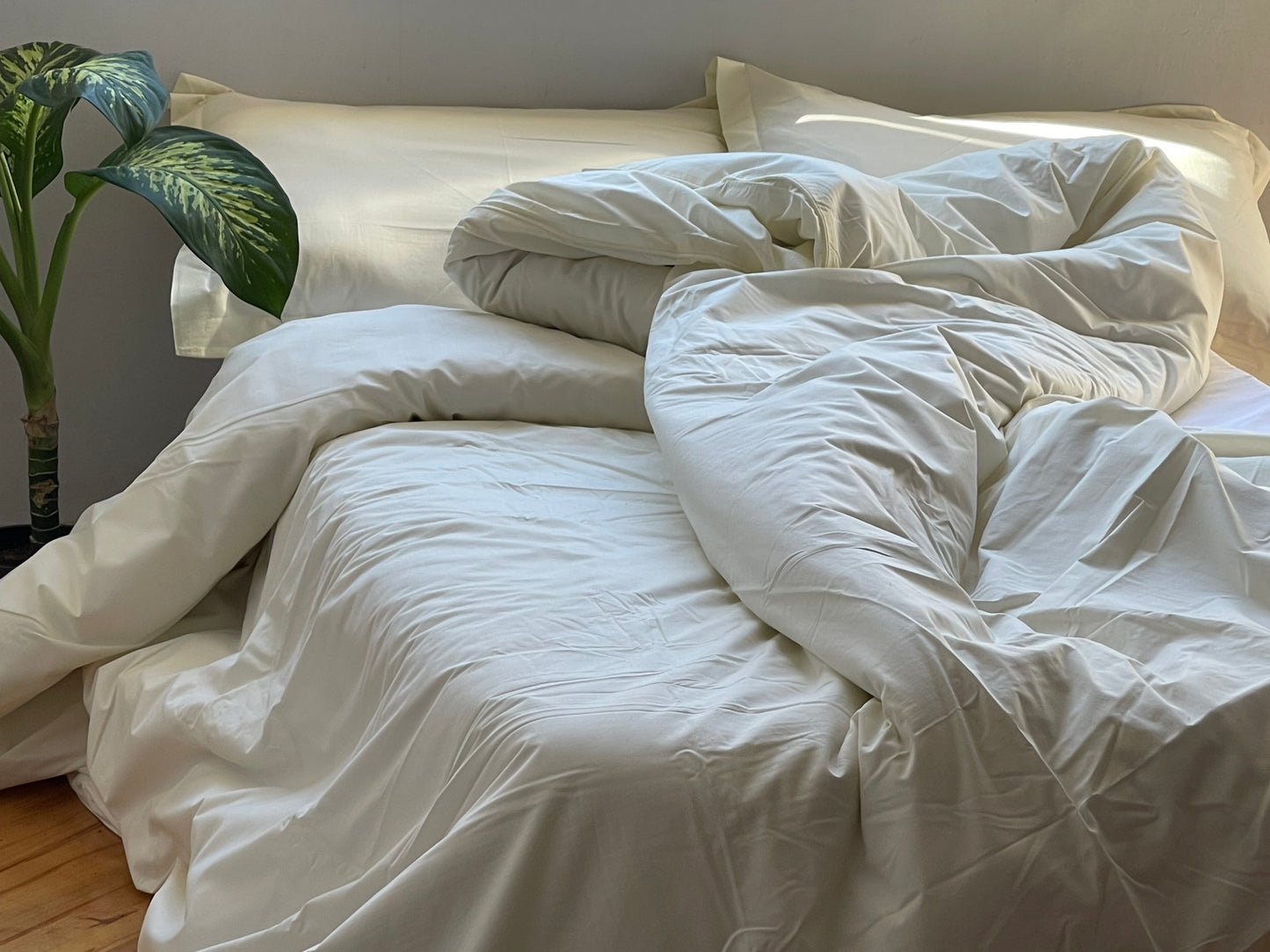 Percale Cornsilk Bed Sheet Set