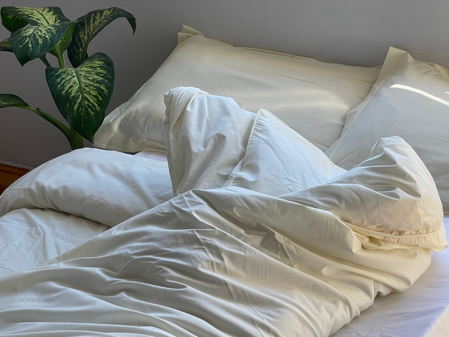 Percale Cornsilk Bed Sheet Set