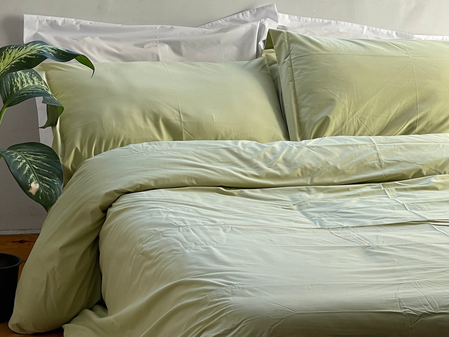 Percale Olive Green Bed Sheet Set
