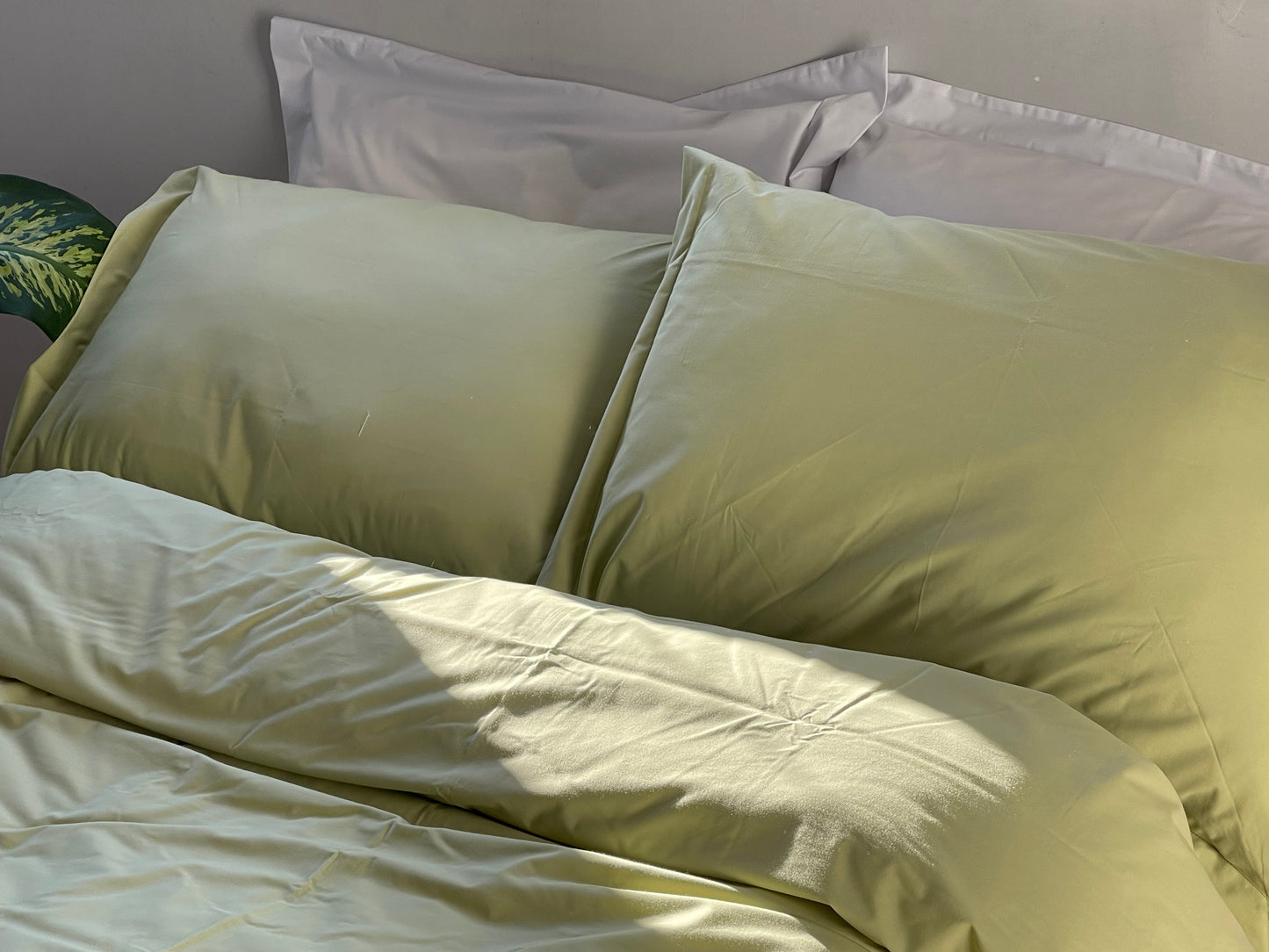 Percale Olive Green Bed Sheet Set