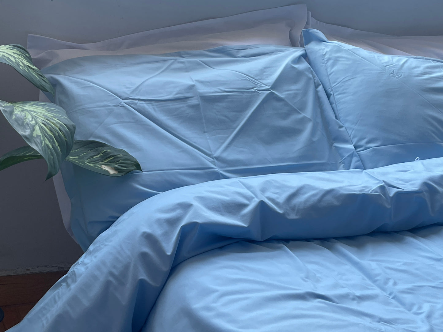 Percale Baby Blue Bed Sheet Set