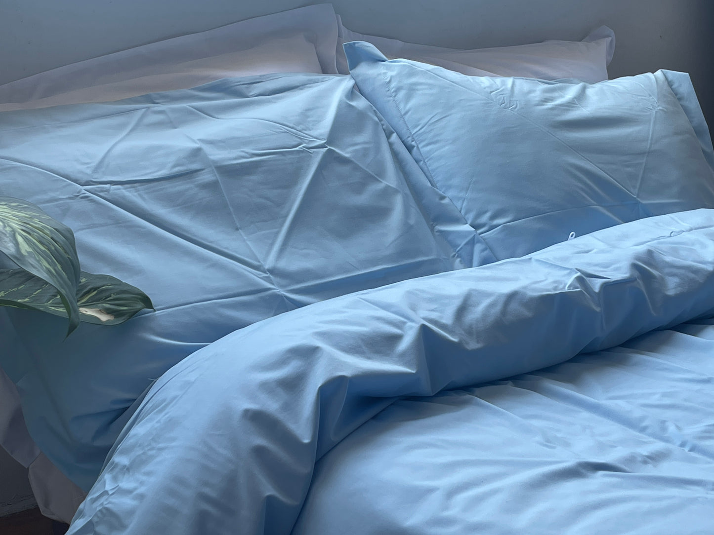 Percale Baby Blue Bed Sheet Set